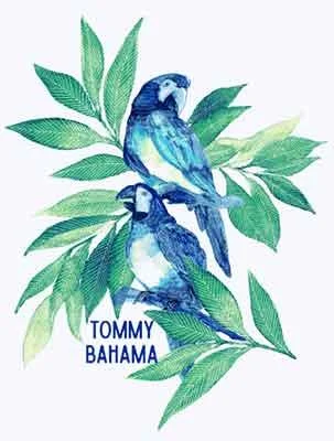 Women's Trendy Clothes End Of Season Sale Tommy Bahama Birds Of A Feather T-Shirt - White