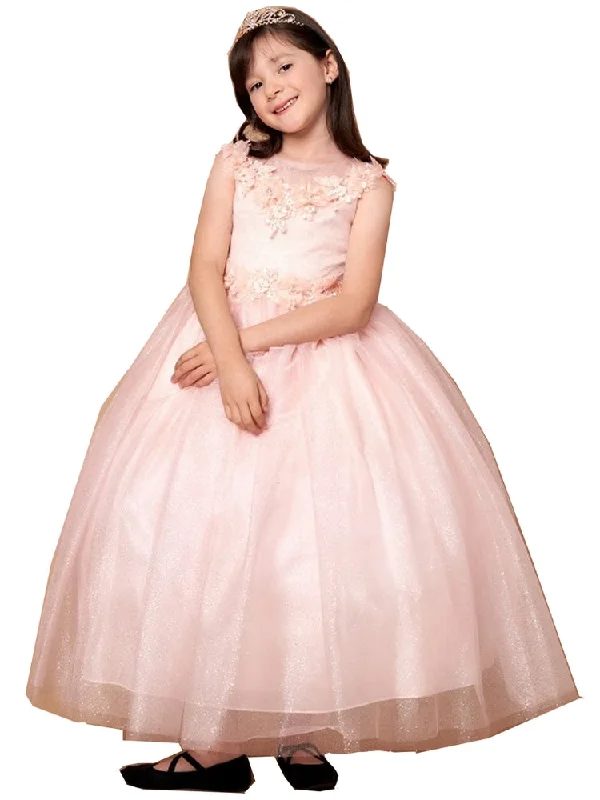 Women's Everyday Garments Limited Edition Big Girls Blush Illusion Neckline Floral Applique Glitter Tulle Dress 8-16